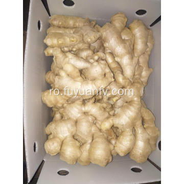 Air dried Ginger prețurile cresc constant